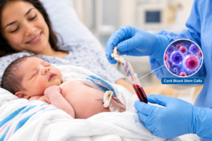 How Does Cord Blood Storage Work and Why Is It Important?