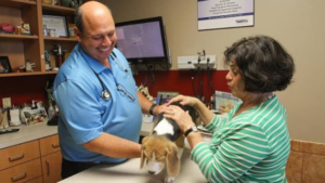 The Importance Of Nutrition Counseling At Animal Hospitals