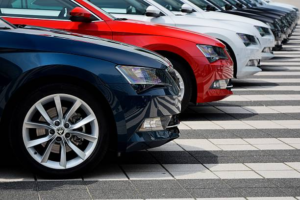 What Should You Consider When Exploring Cars for Sale in Wellington?